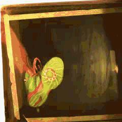 李宁暴风2022缓震,李宁暴风five