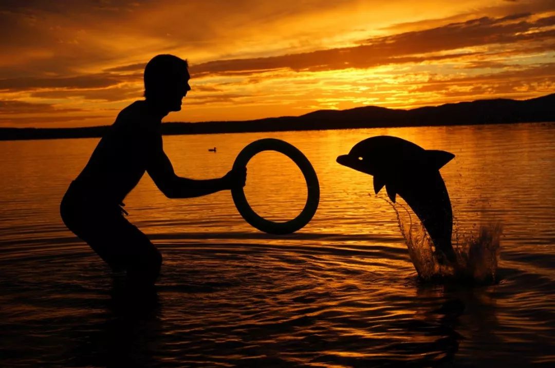 这个男人拍的漫画剪影，小孩看笑了，大人却哭了......