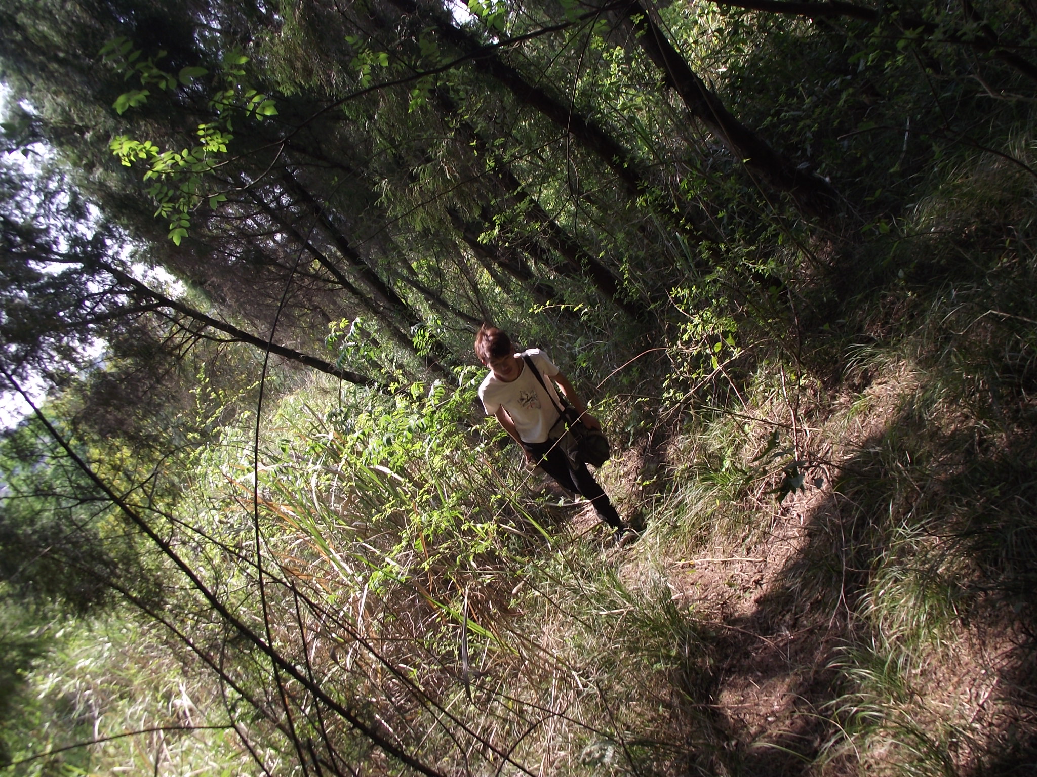 基站维护员学徒,辛苦的后勤维修工