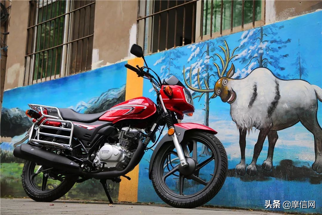 新大洲本田战飚评测,新大洲本田战龙试驾