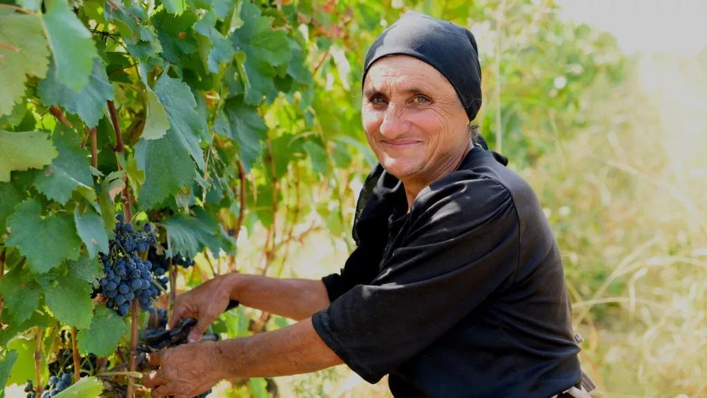 格鲁吉亚什么红酒最好,格鲁吉亚红酒怎么来的