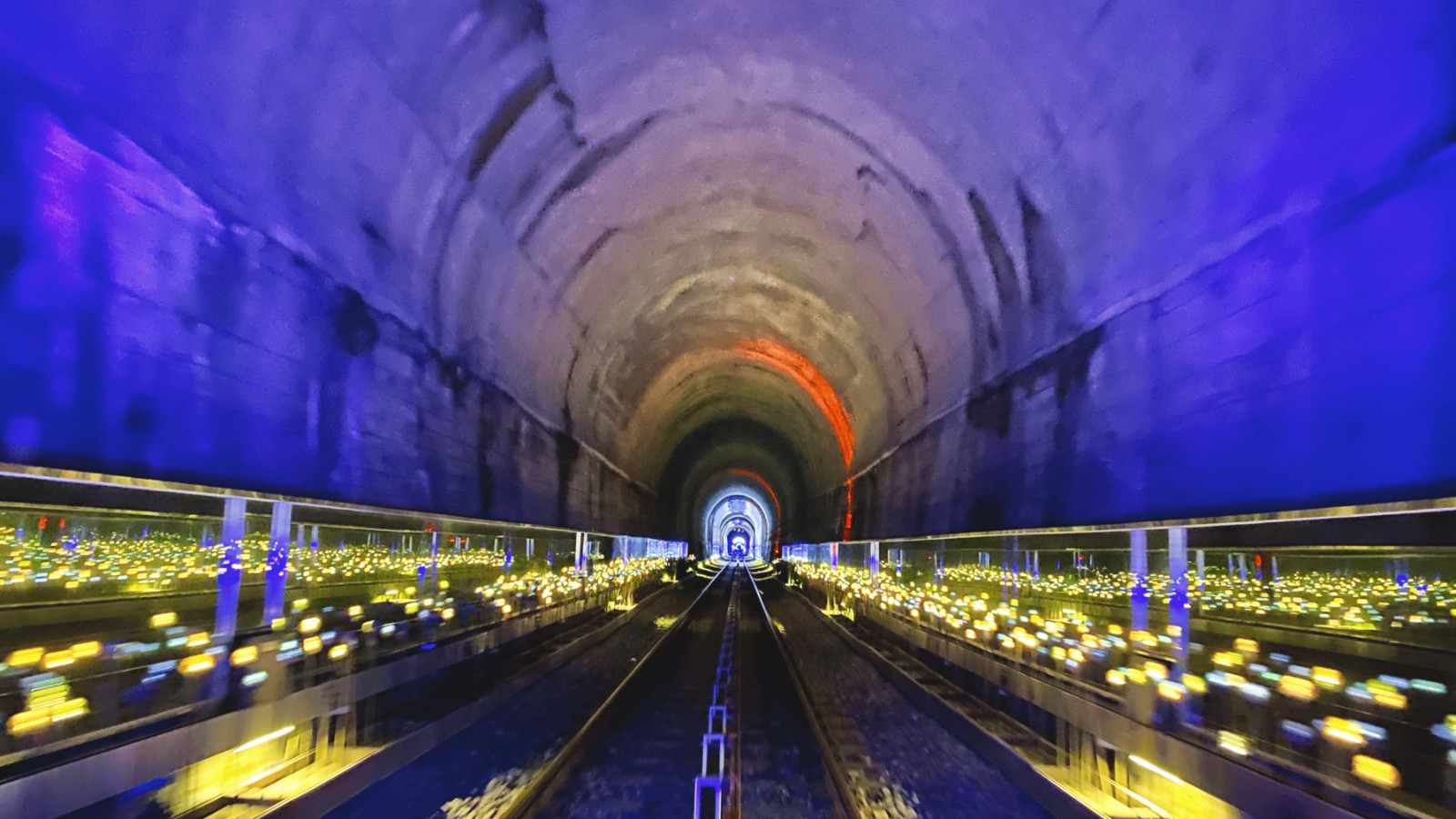 哇，人参随便挖！韩国还能这么玩