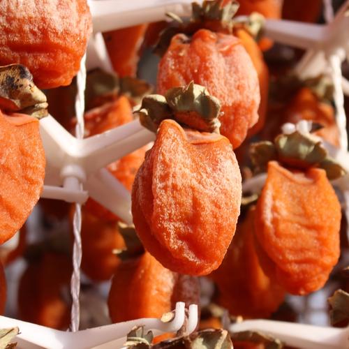 摘柿子做柿饼,摘了好几天的柿子能做柿饼吗