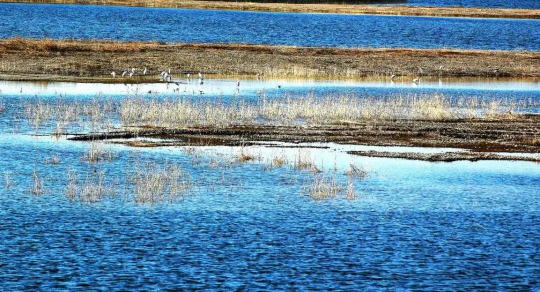 齐国景区,临淄十大免费旅游景点