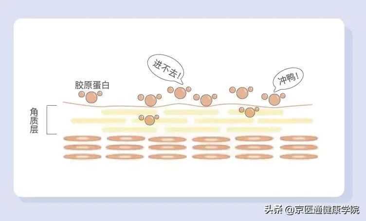 胶原蛋白真的有必要买吗,新手一定要知道的胶原蛋白骗局