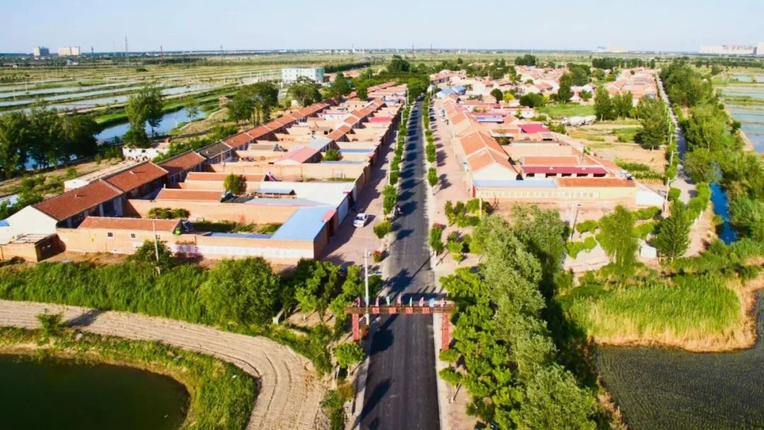 下半年全面开挂成功“上位”！我敢打赌，这是你从未见过的宝坻