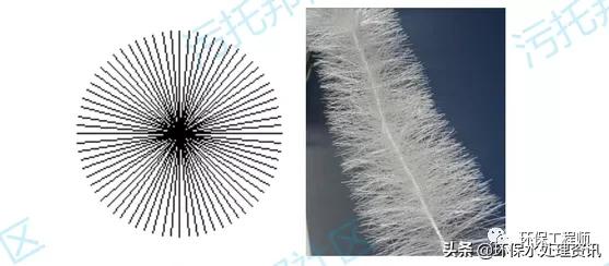 填料按形状分可分为哪两种,填料塔填料的种类规格