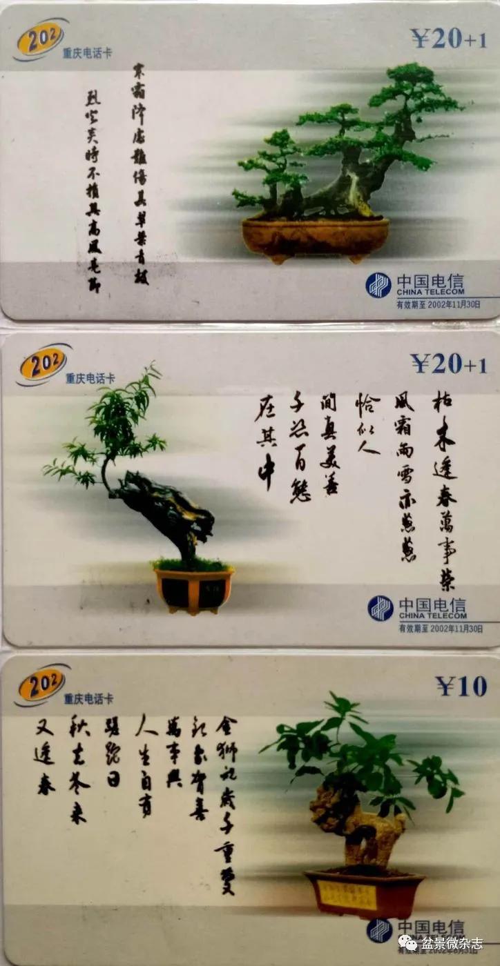 鐩嗘櫙鑱旂郴鐢佃瘽鍙风爜,涓鐩嗘櫙鑱旂郴鏂瑰紡