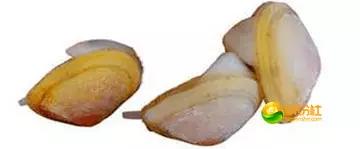 舟山海鲜代加工攻略,最全舟山海鲜攻略