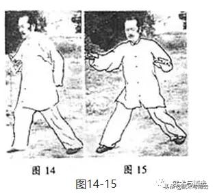 纯阳拳龙心掌视频,纯阳八步龙心掌