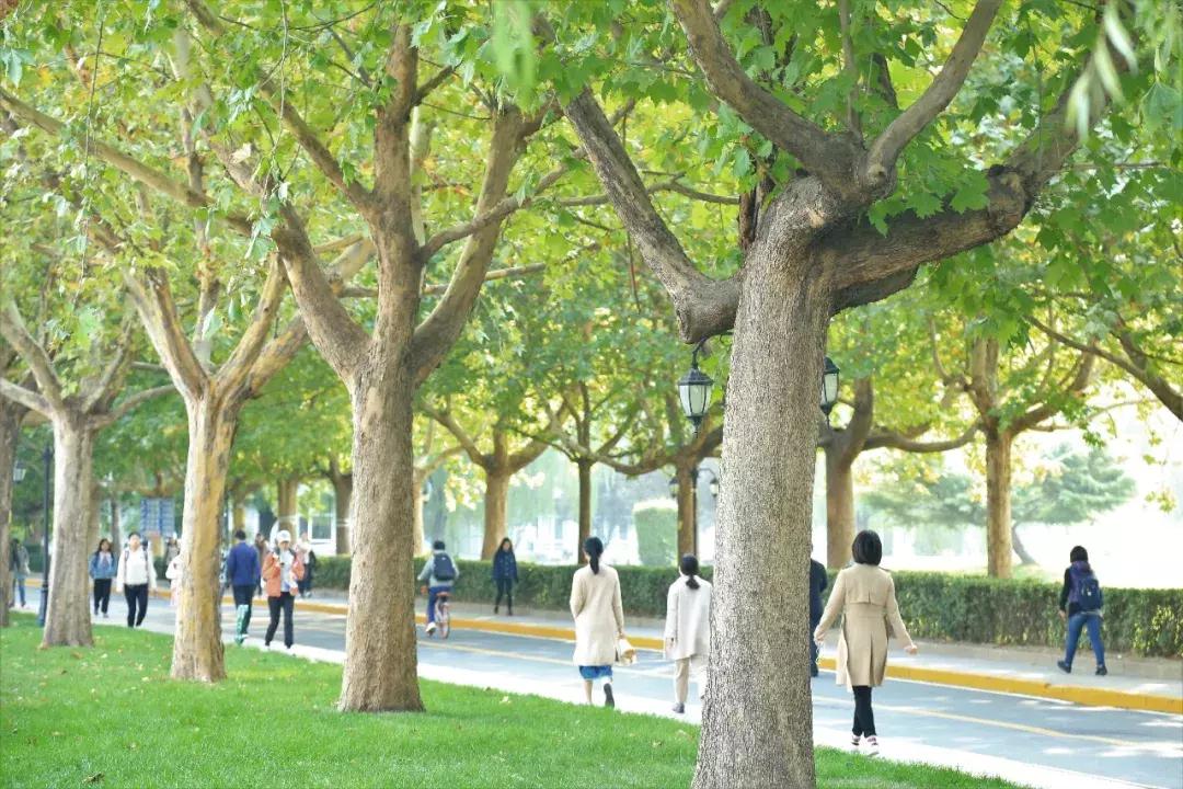 高考志愿@为什么报考对外经济贸易大学？