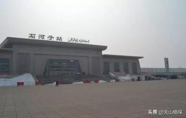 上榜啦！*疆新**鸟市和石市即将被国家命名！未来发展不可估量