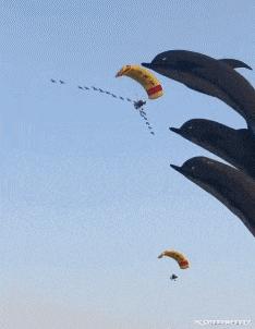 在野外发现甘蔗,在山里发现甘蔗