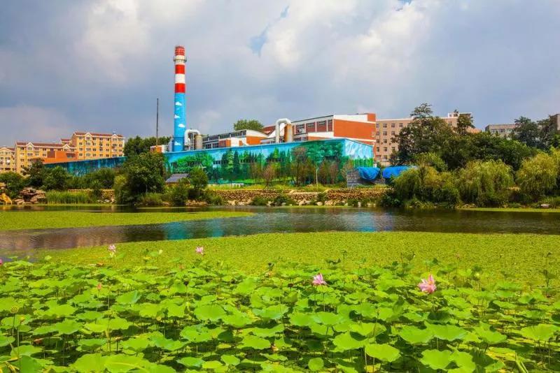 大连海事大学和辽宁省哪个级别高,大连海事大学辽宁省大学排名