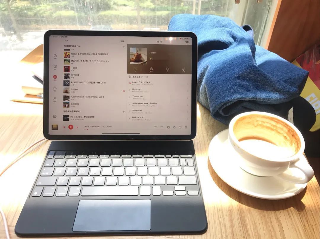 这个冬天，我扛回家一棵树