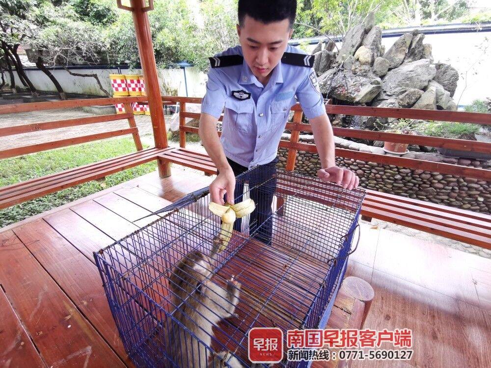 鏉戞皯瀹朵腑鍙戠幇璇″紓鐜拌薄,鏉戞皯瀹朵腑鍙戠幇璇″紓浜嬩欢