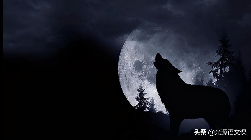 如果你被狼攻击怎么办,如果你被很多人追杀怎么办