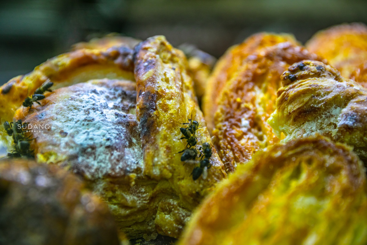 摩洛哥吃什么水果,摩洛哥每天的消费