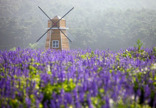 沈阳情侣旅游攻略必去景点,沈阳适合情侣去的免费旅游景点