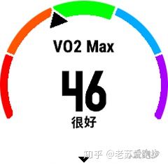 跑步后最大摄氧量下降 (跑步怎么提高最大摄氧量)