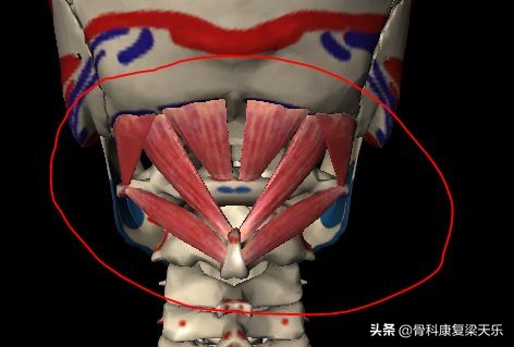 眼睛模糊颈椎僵硬怎么回事,眼睛胀胀的看东西模糊