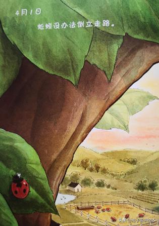 蚯蚓的日记绘本好词好句,100个最经典的绘本蚯蚓的日记