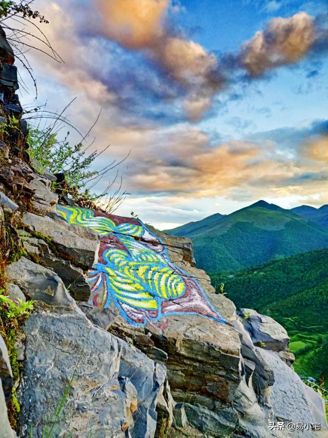 阿土|荒野生活/从城市白领到山中野人