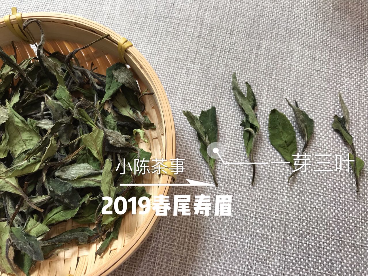 白茶这几年哪个年份品质最好,2023年的白茶品质怎么样
