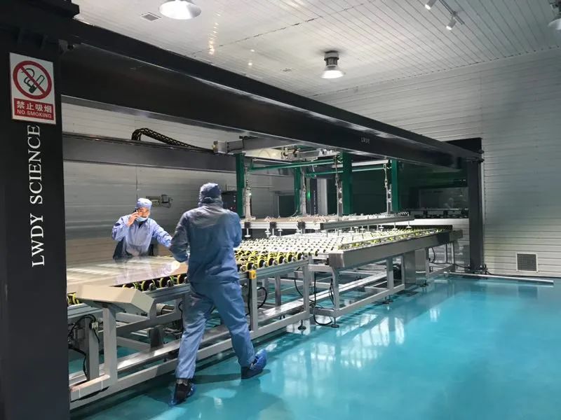 激情与坚持诠释梦想专访辽宁乐威科技发展有限公司董事长张学江