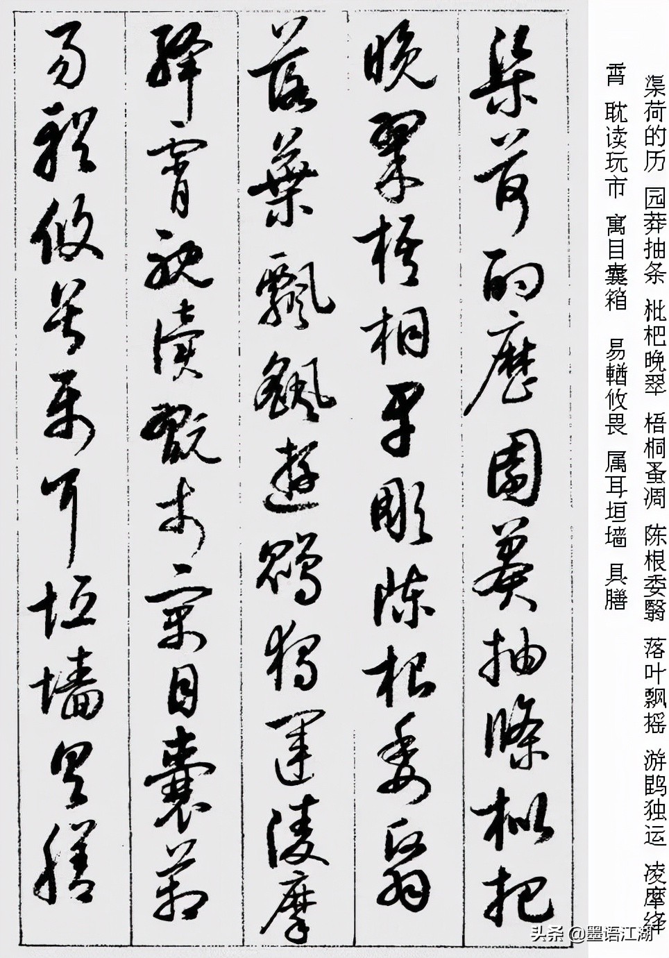 国宝档案启功草书千字文,启功千字文草书临写视频