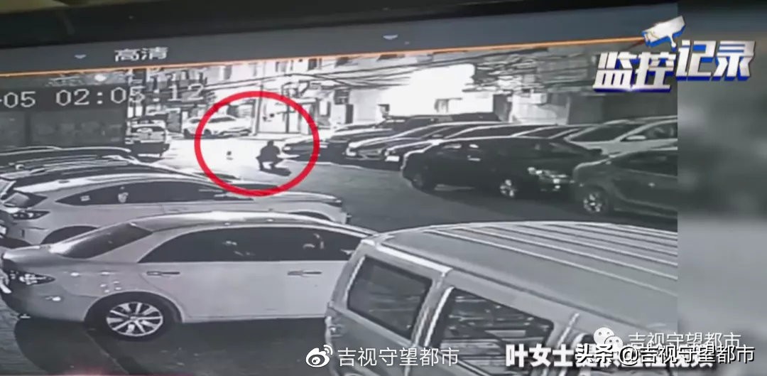 宠物狗路边玩耍被抱走后续,小狗在门口被人抱走了