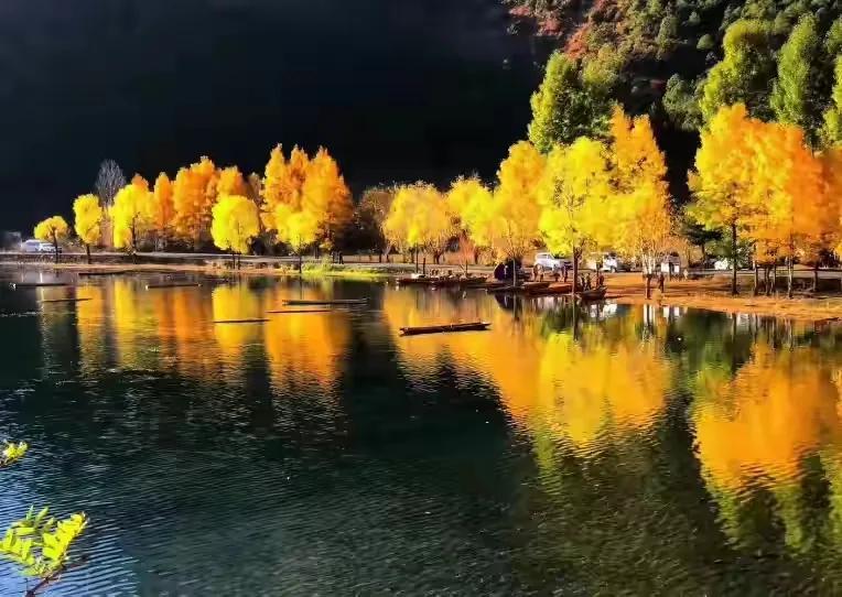 写秋韵的古诗有哪些,学生时代学过描写秋风节气的古诗