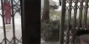 金星说婚姻一句话太真实了,金星说的关于婚姻的话