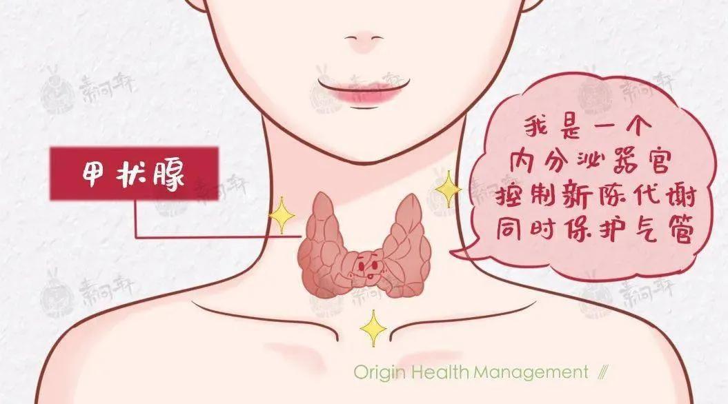 食堂阿姨手会抖是什么病,食堂阿姨手抖原来真是有原因的