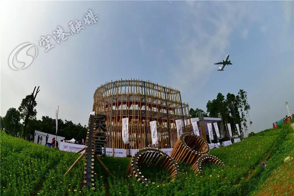 双流哪里可以赏花看飞机,双流附近赏花攻略路线