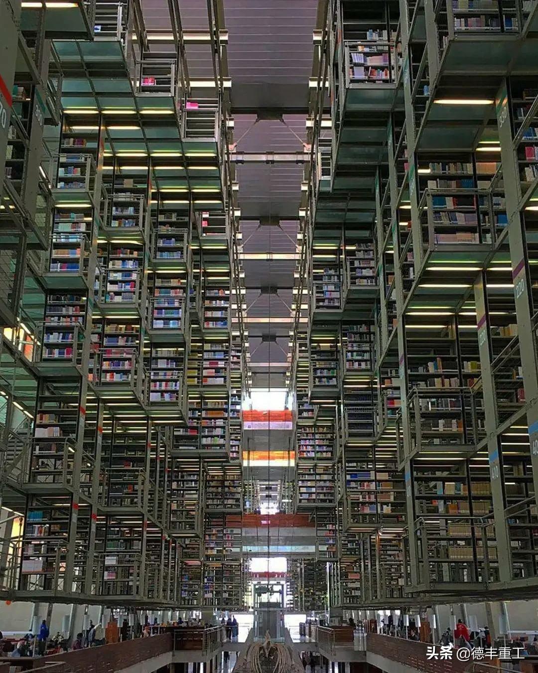 全球美到窒息的白天鹅和山水风景,全世界惊艳的图书馆