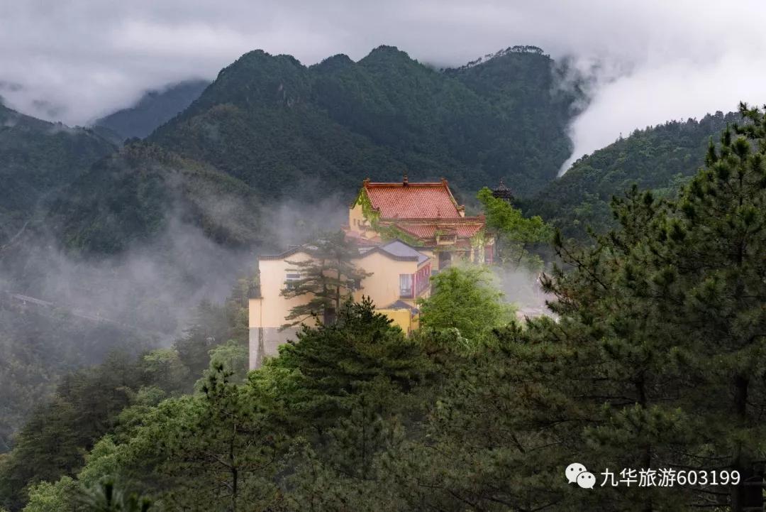 九华是哪个学校的学区房,九华学区房