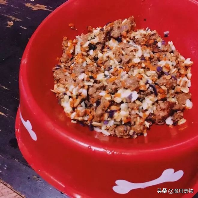 辟谣狗狗每年不需要打预防针,辟谣狗不能吃的东西