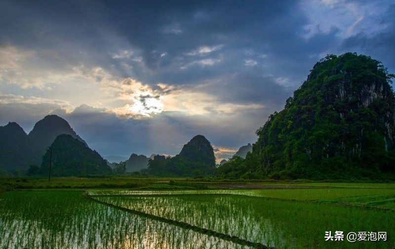 阳春田园风景视频,阳春春湾镇风景视频