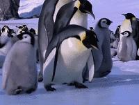 冬季头皮干燥头屑多用哪种洗发水,冬季头皮干痒头屑多怎么办