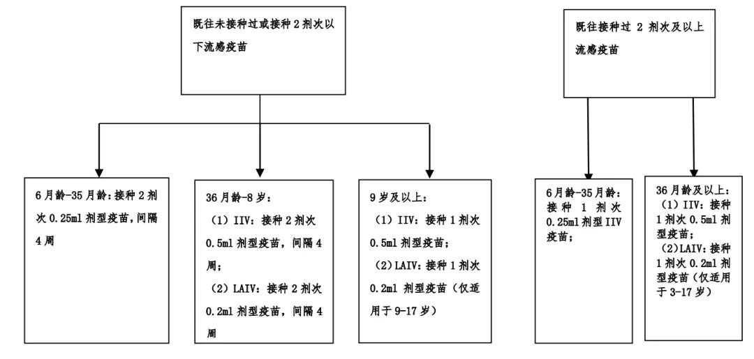 接种了流感疫苗还得流感怎么办,刚接种流感疫苗就得了流感怎么办