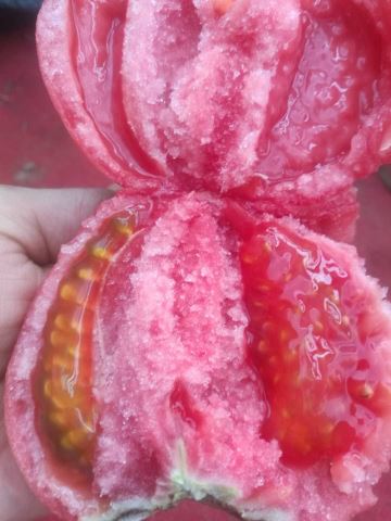 让番茄更快出汁水,让人回味无穷的人