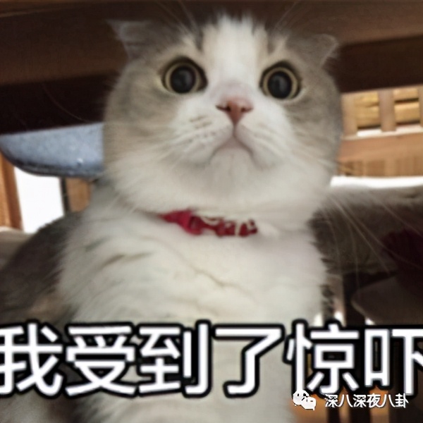 全员恶人系列推荐,全员恶人霸气瞬间