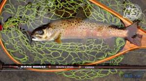 游钓篇｜渔在熊猫故里