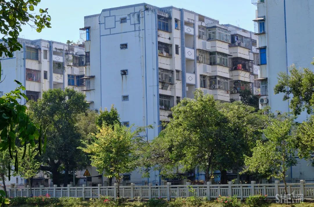 深圳新秀村南区,罗湖区新秀村