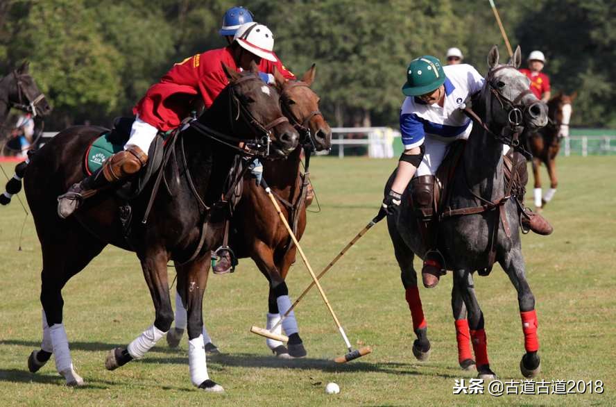 明兰办马球赛,明兰马球谁教的