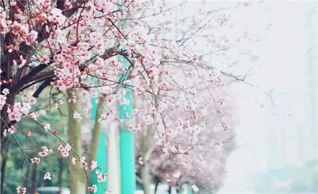 12月份成都周边两日游攻略,成都七日游旅行攻略路线