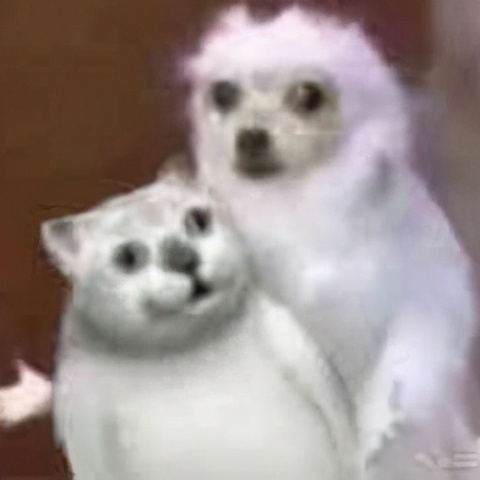 手机里面的所有文件夹能全删吗,手机里的英文文件夹哪些可以删