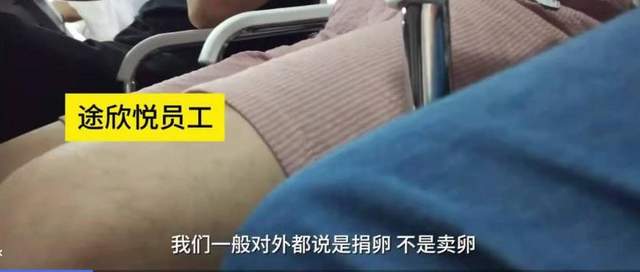 一颗卵子值100,卵子捐卵