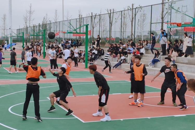 灞变笢绉戞妧娉板北绉戞妧瀛﹂櫌,灞变笢绉戞妧澶у娉板北绉戞妧瀛﹂櫌